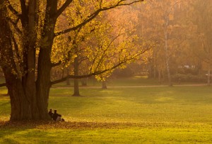 getty_rf_photo_of_two_people_talking_under_tree