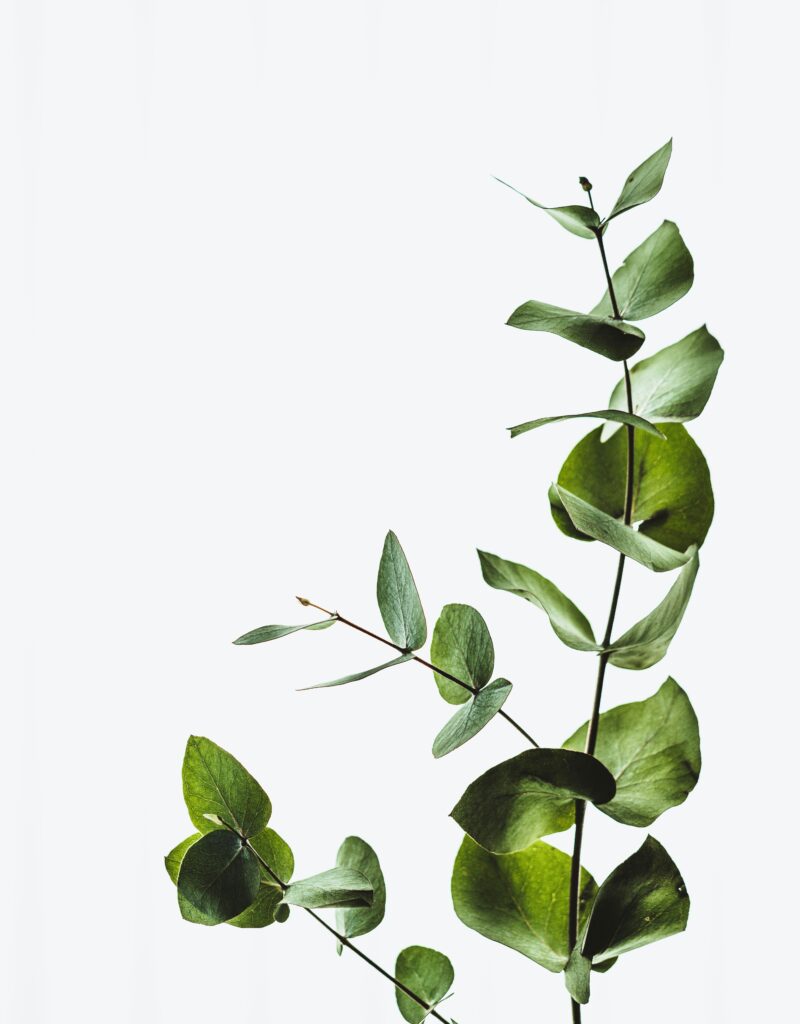 Hope for the weary soul