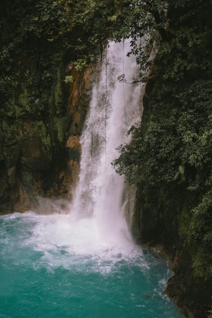 Release the burden of regret